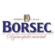 Borsec